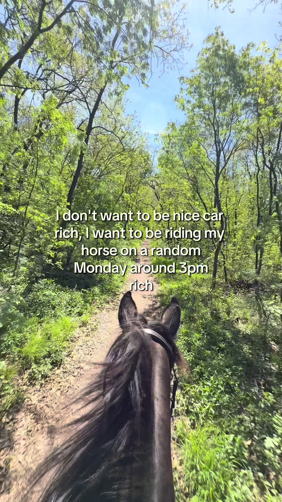 @Free Ride Equestrian