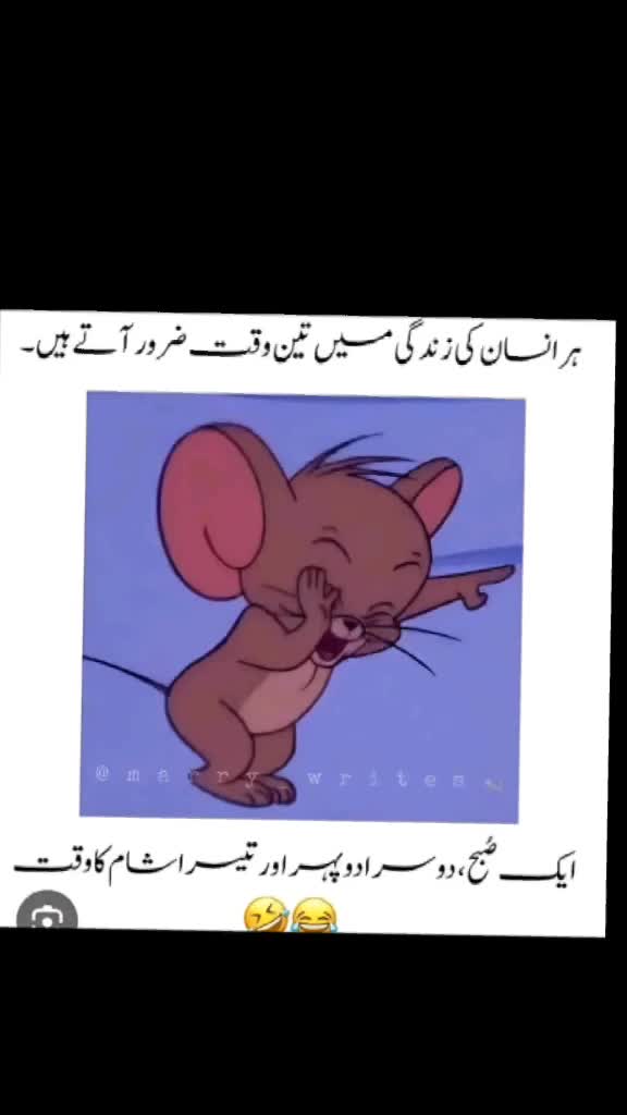 @King👑of🦁 Lahore
