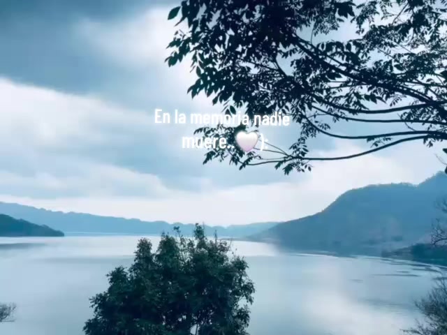 @Leticiamateo🫶