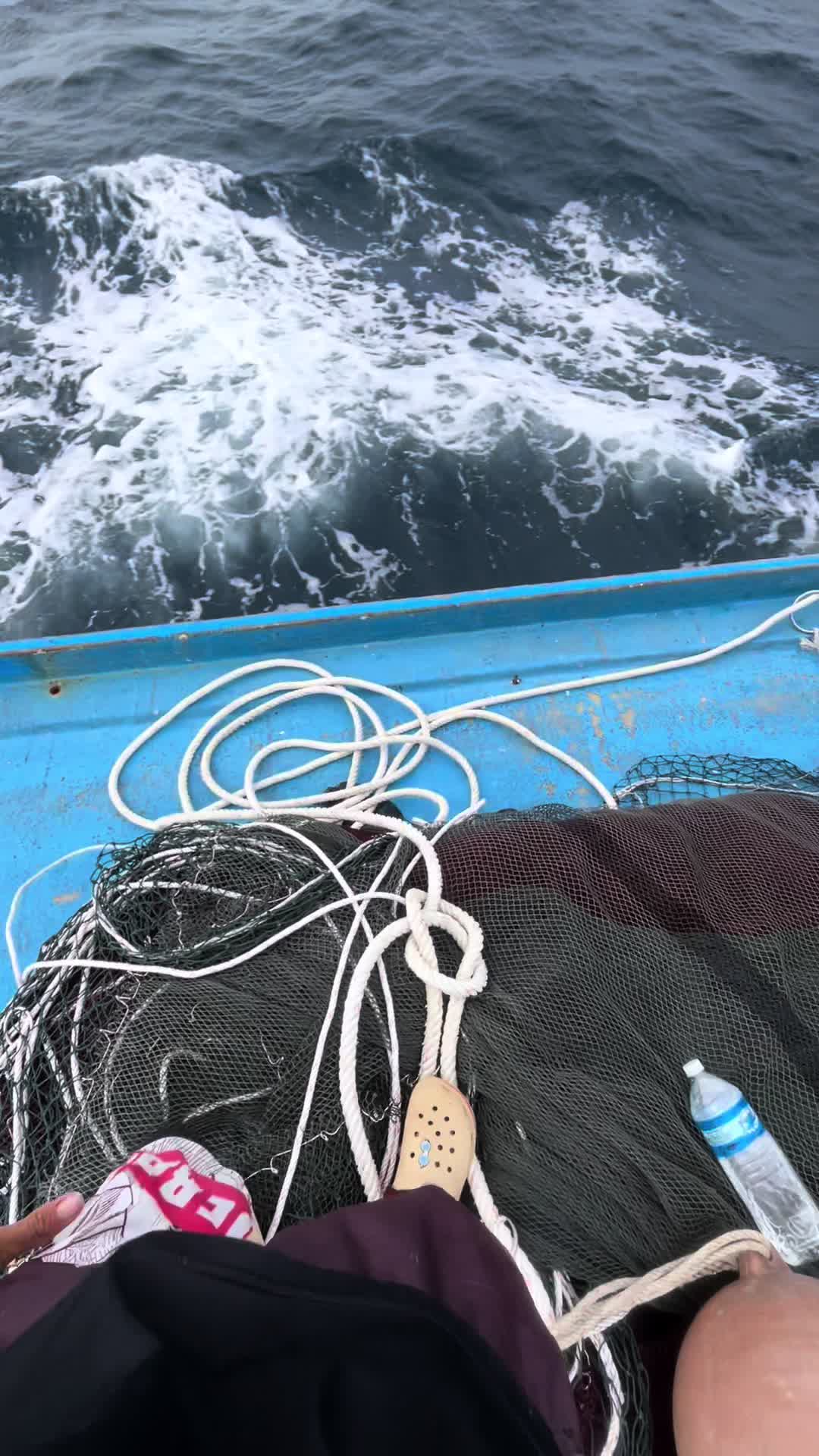 @pelaut gacor 🌊🥷🏻