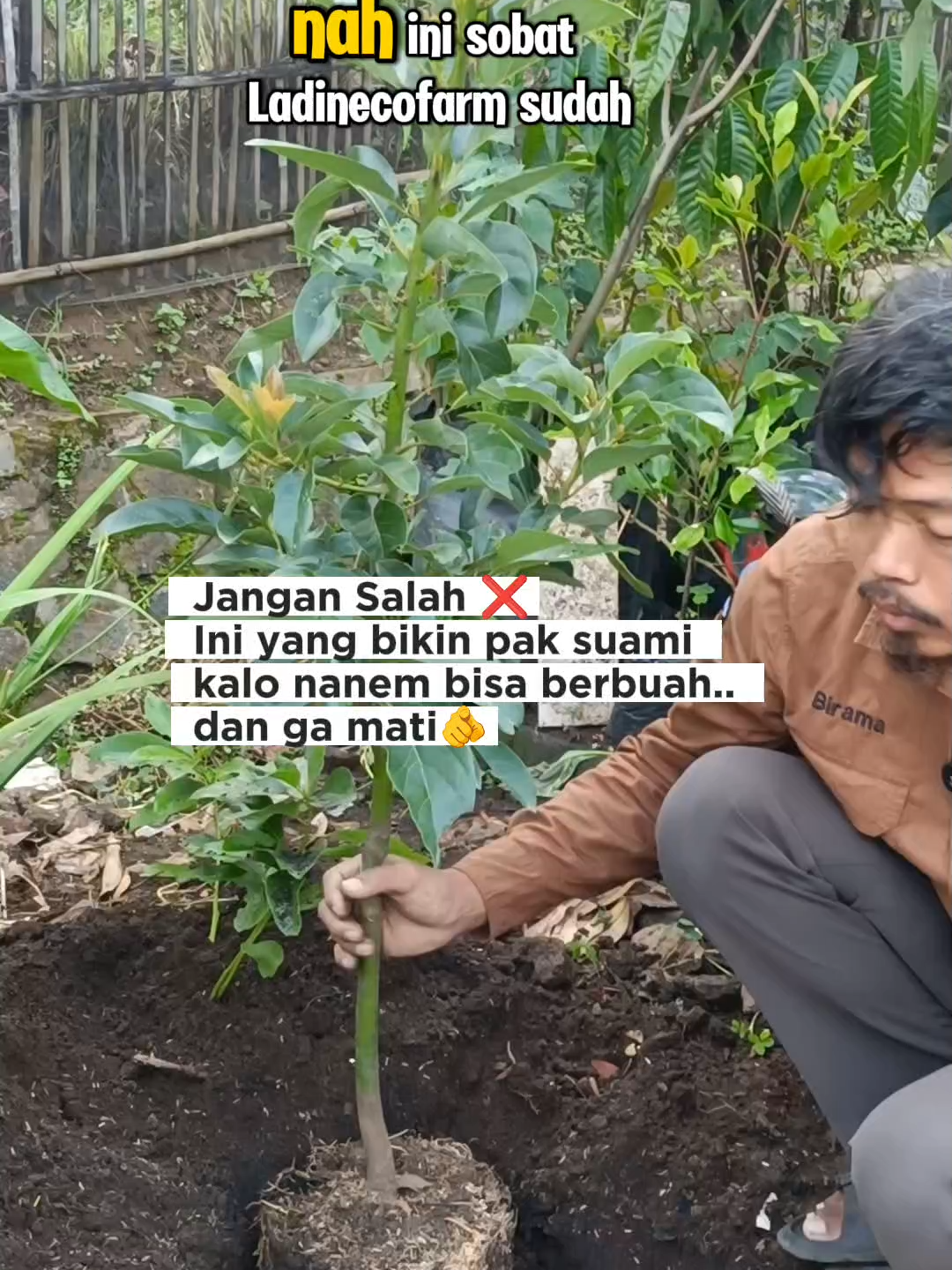 @Ladin Ecofarm