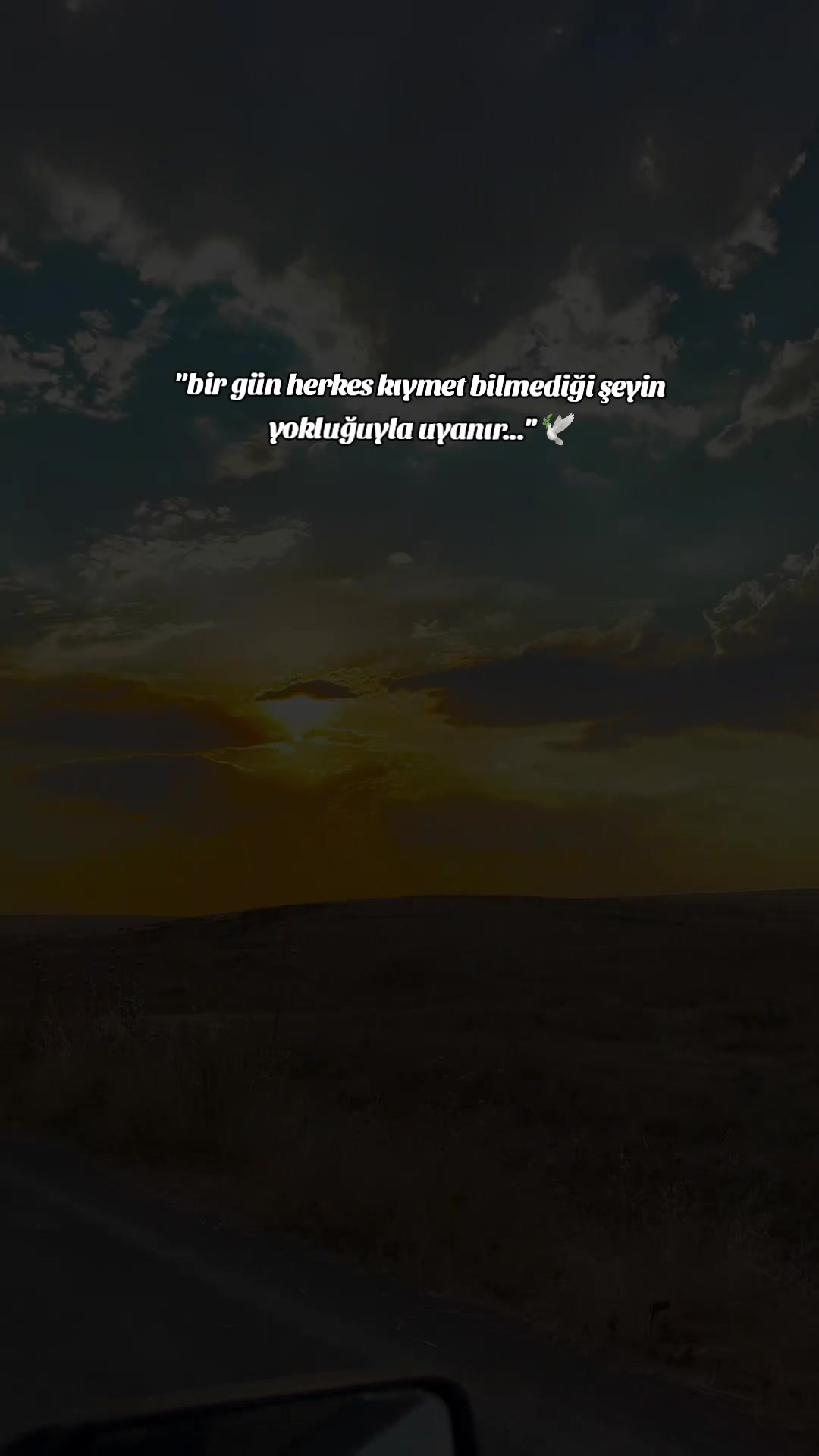 @𝐒 𝐓 𝐄 𝐑 𝐊 ✷