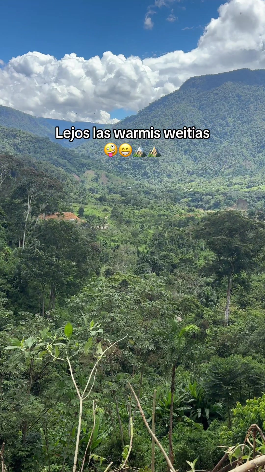 @Elvis 🍃