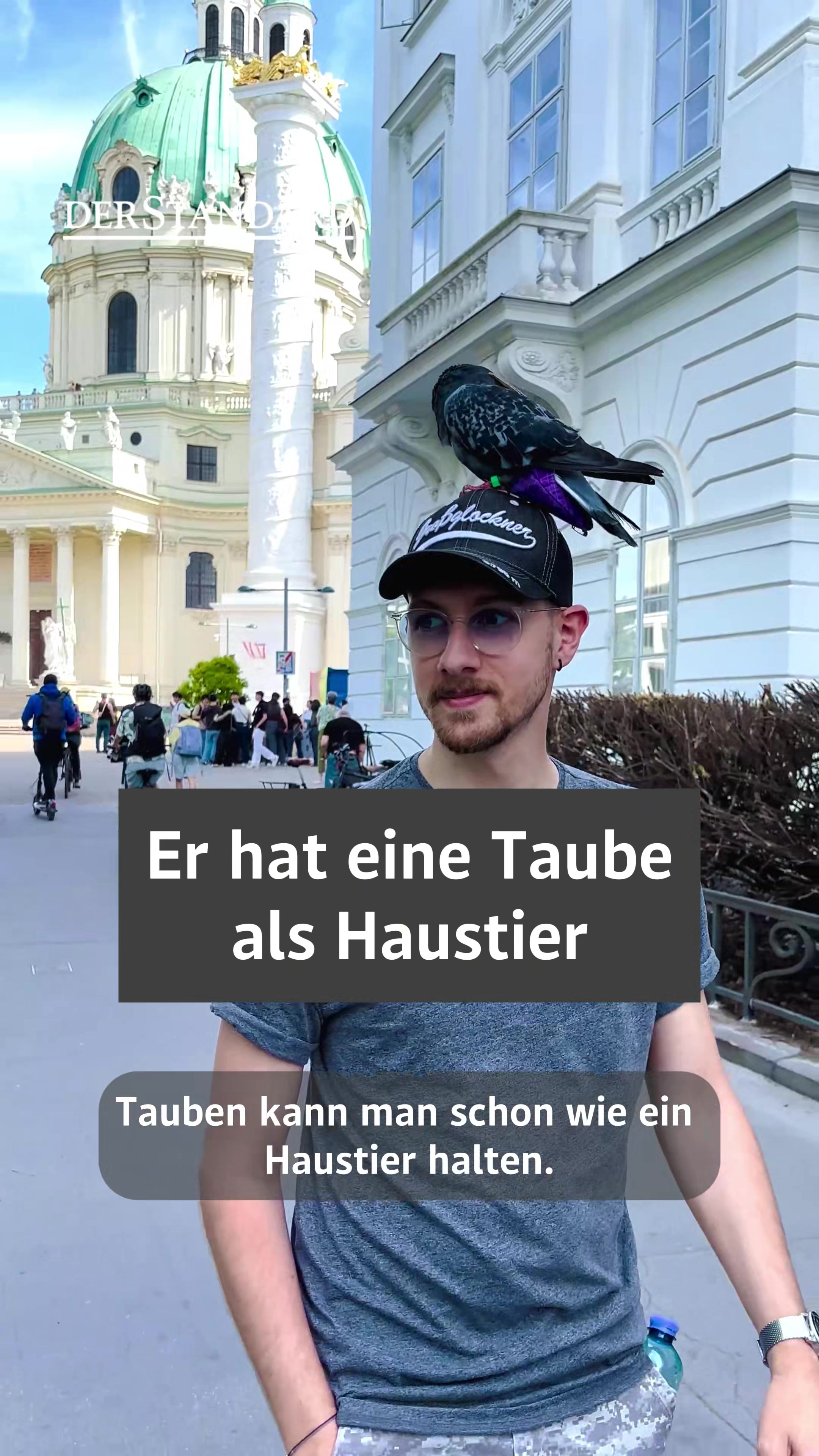 @DER STANDARD News