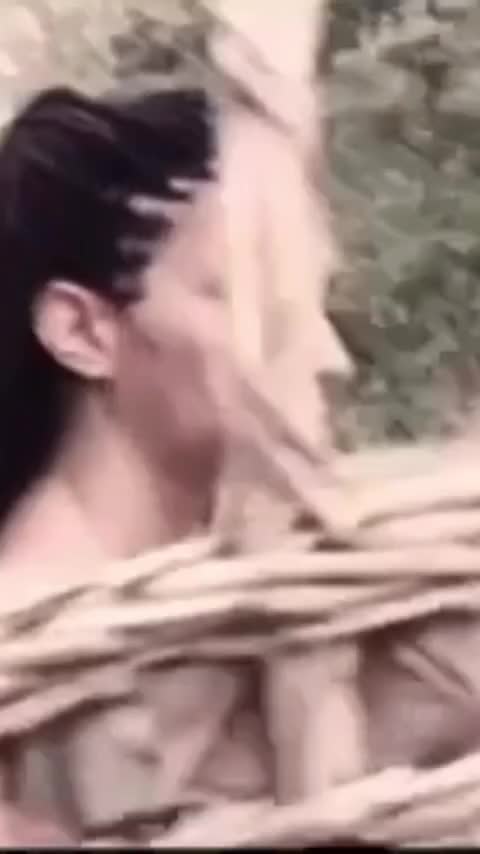 @coccinella72