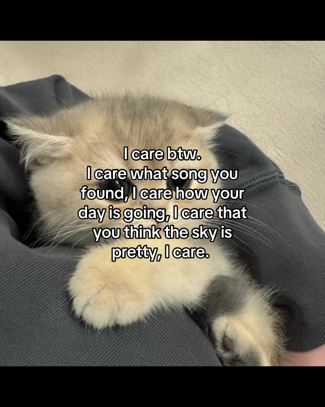 @deep.meow