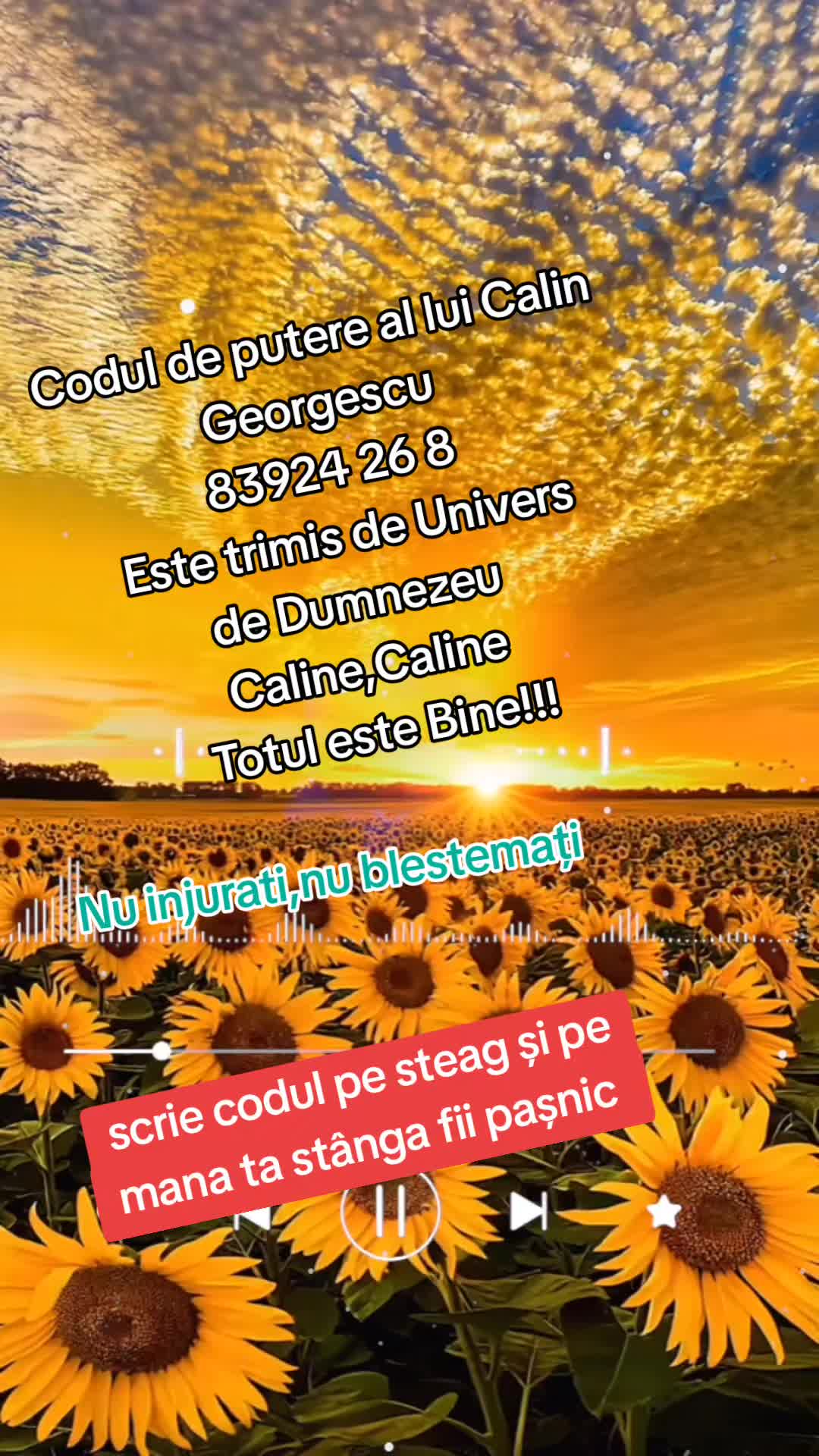 @franchettimiryam1954