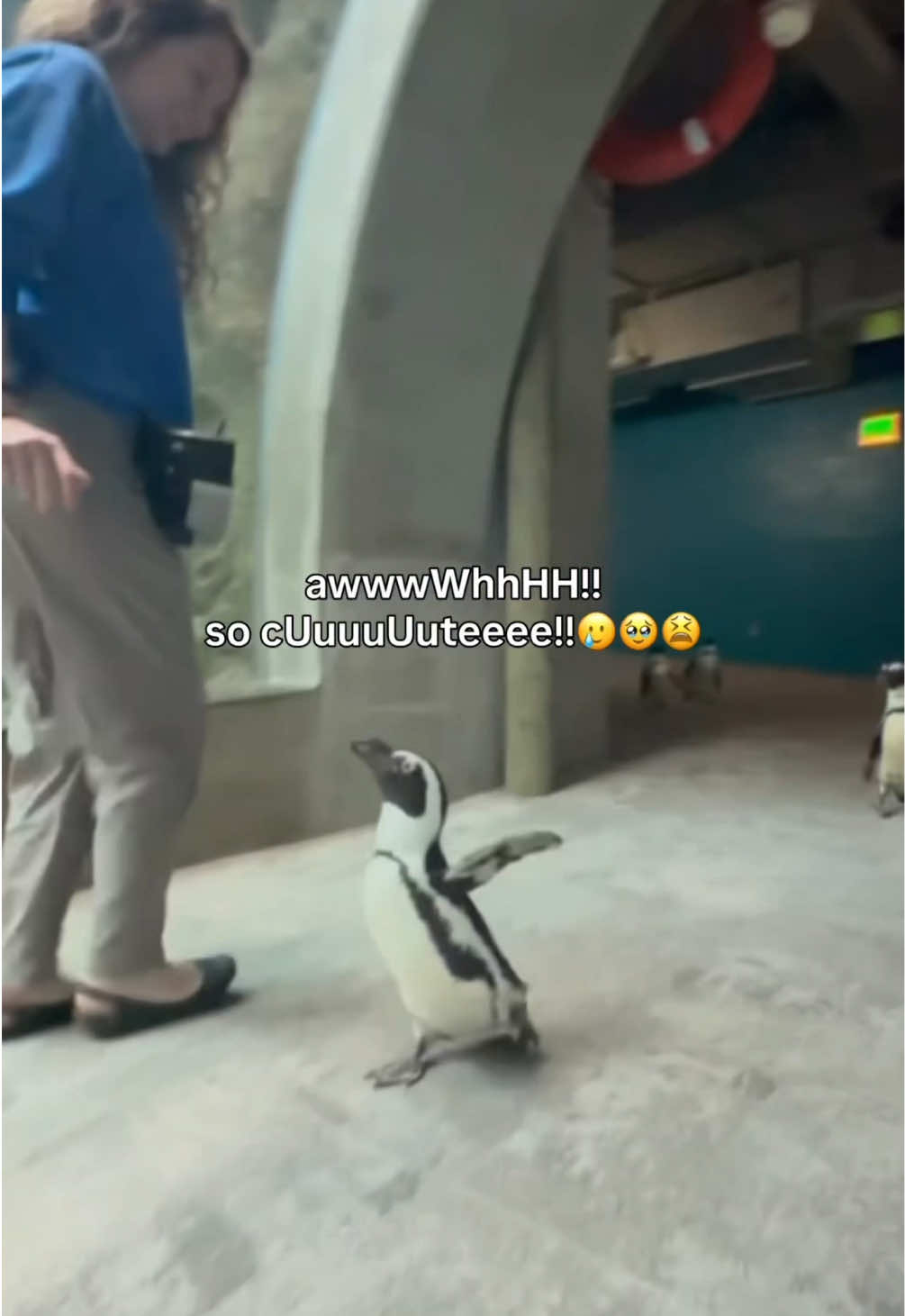 @The Florida Aquarium