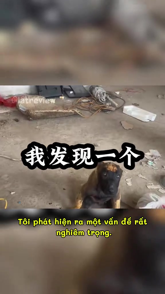 @Dương Anh 22