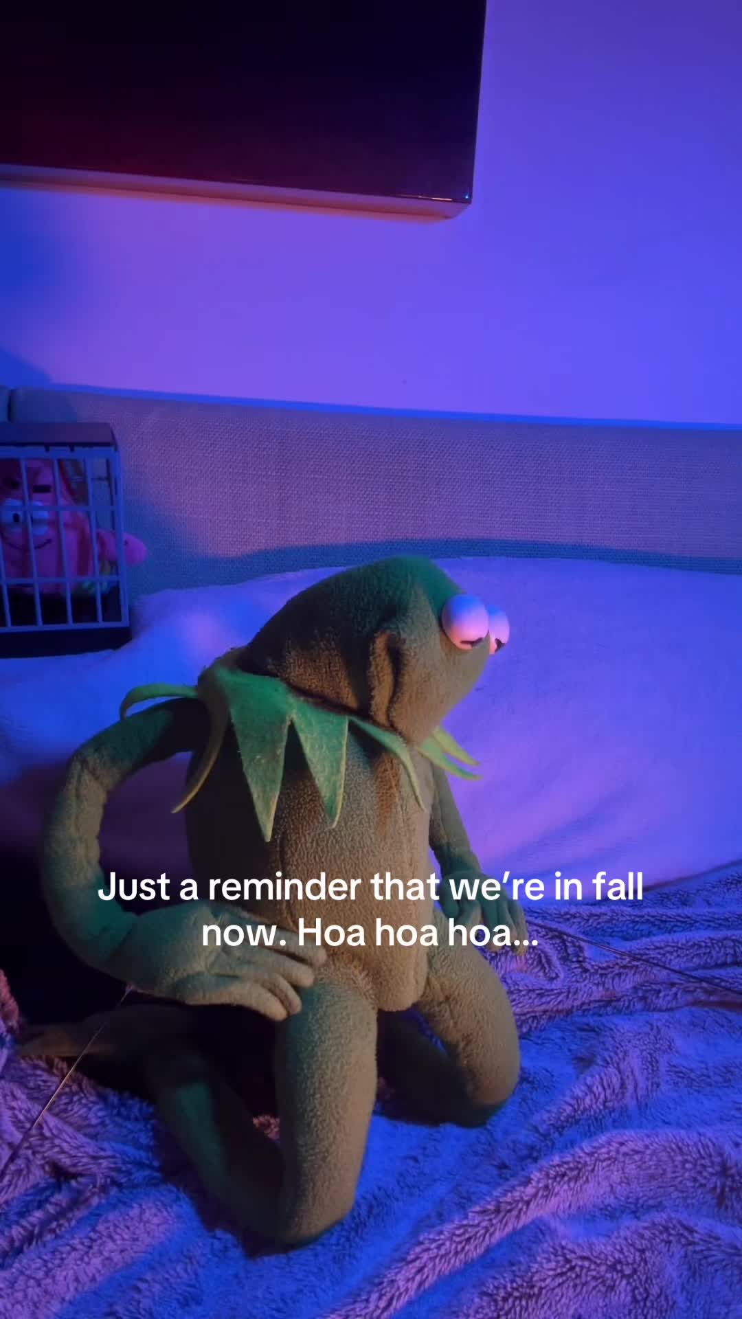 @🐸 Crashout Kermy 🐸