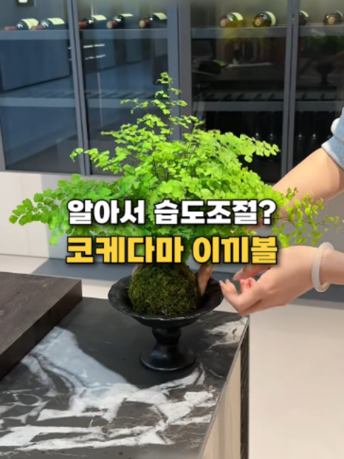 @👈 상상플러스