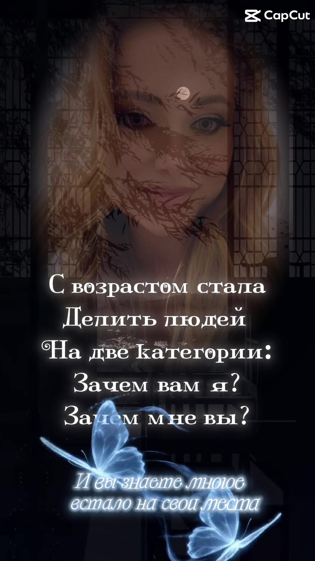 @svitlanalikitarch