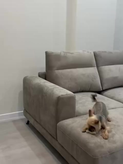 @sellfurniture