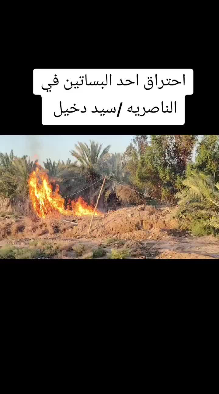 @أنور المخلص