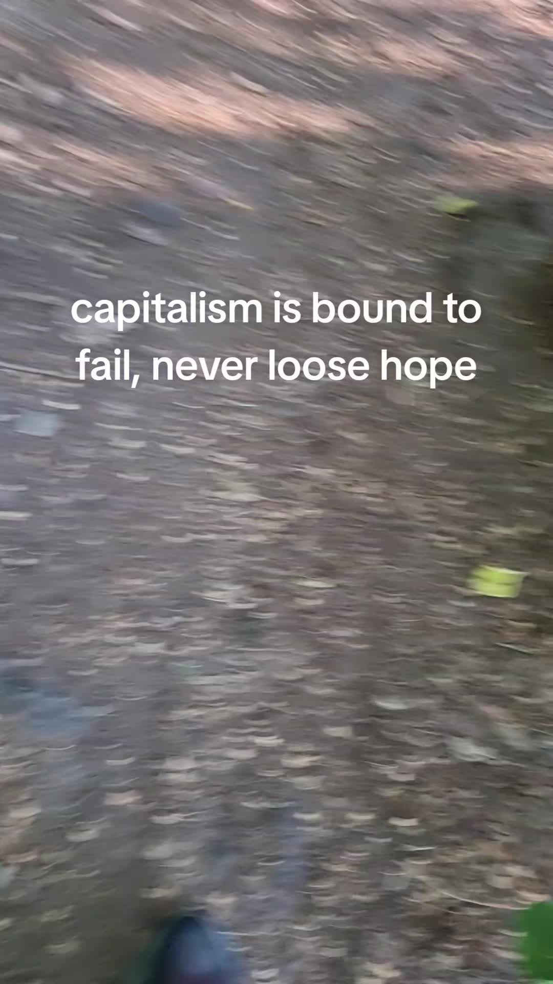 @Nirvana Fan🚩