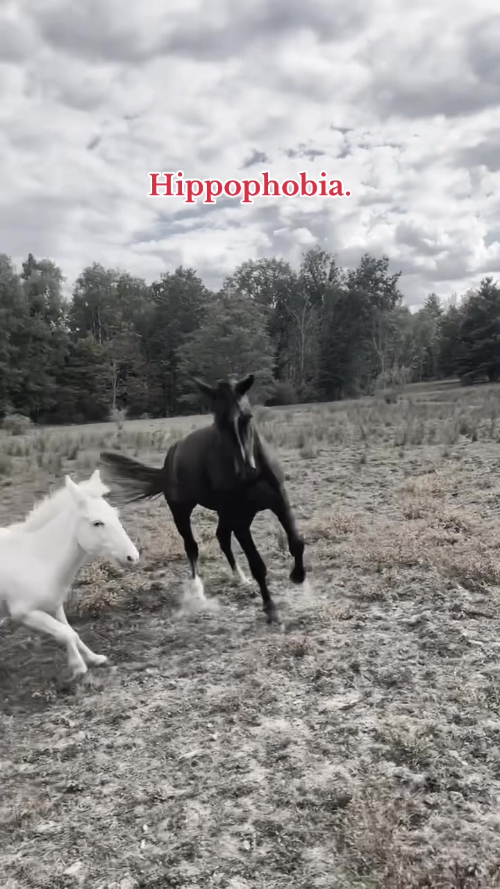@Pony Squisher