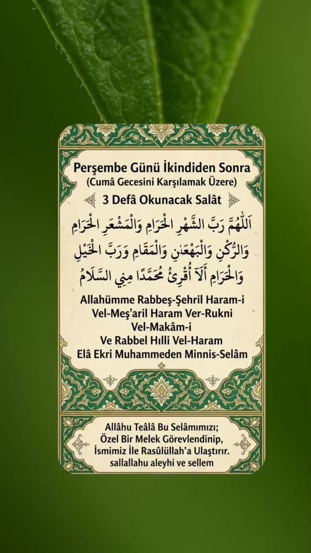 @hayat nereye gidiyor