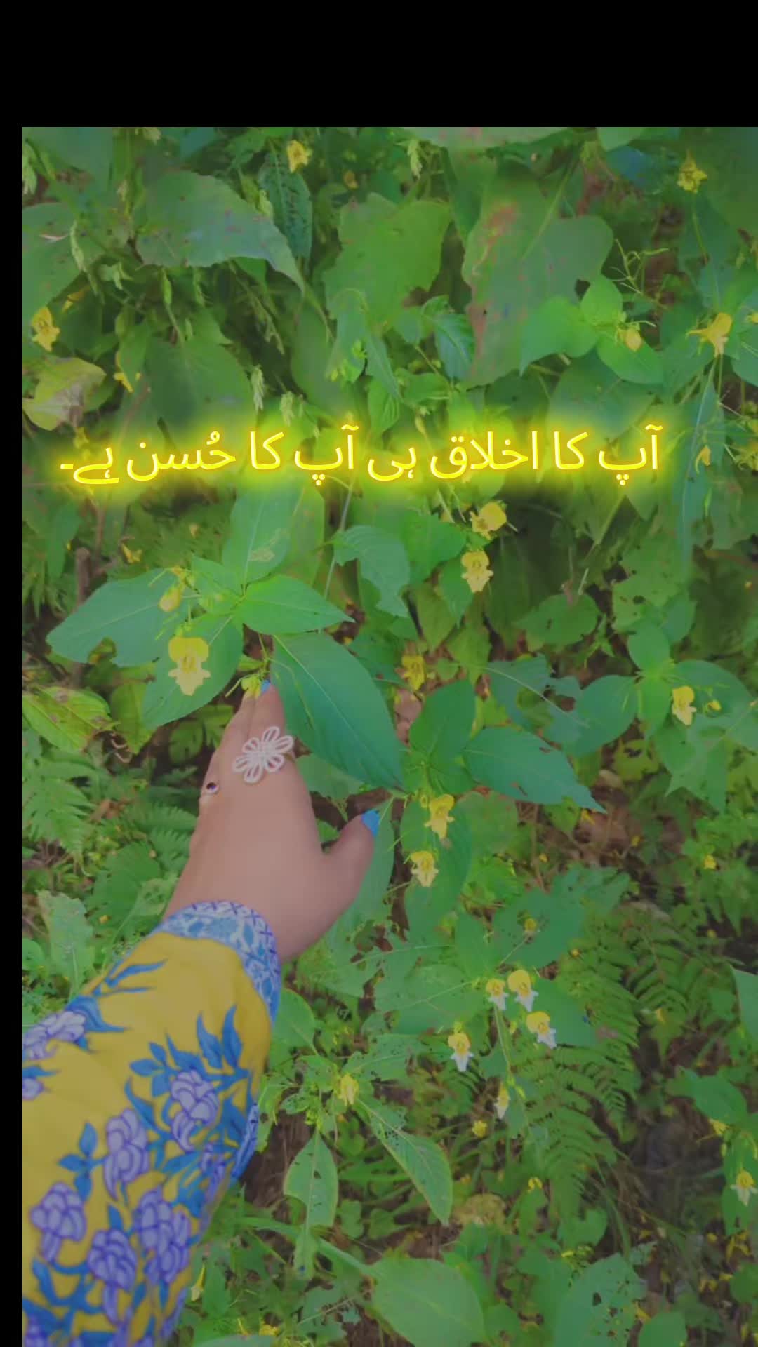 @Sania Rashid