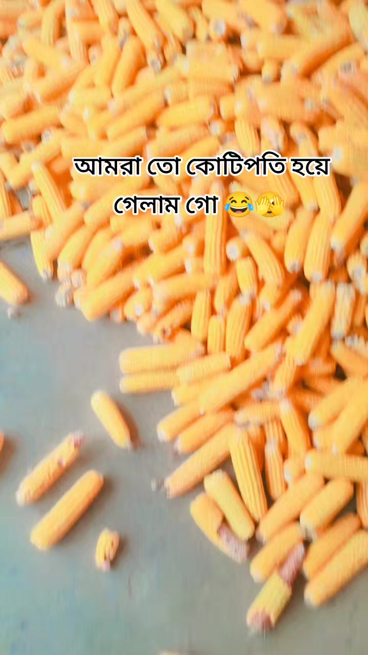 @Saroar Raj