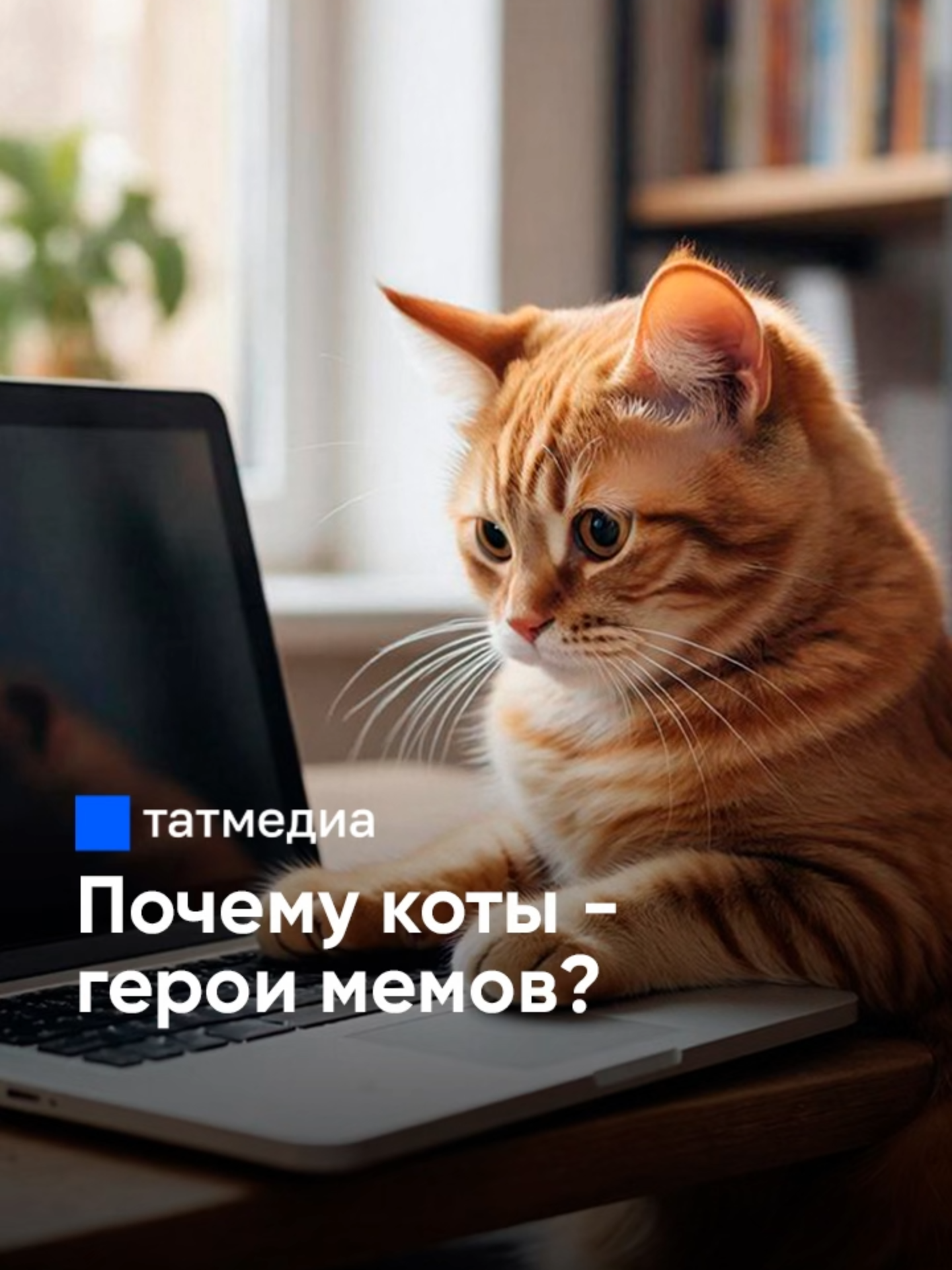 @ТАТМЕДИА