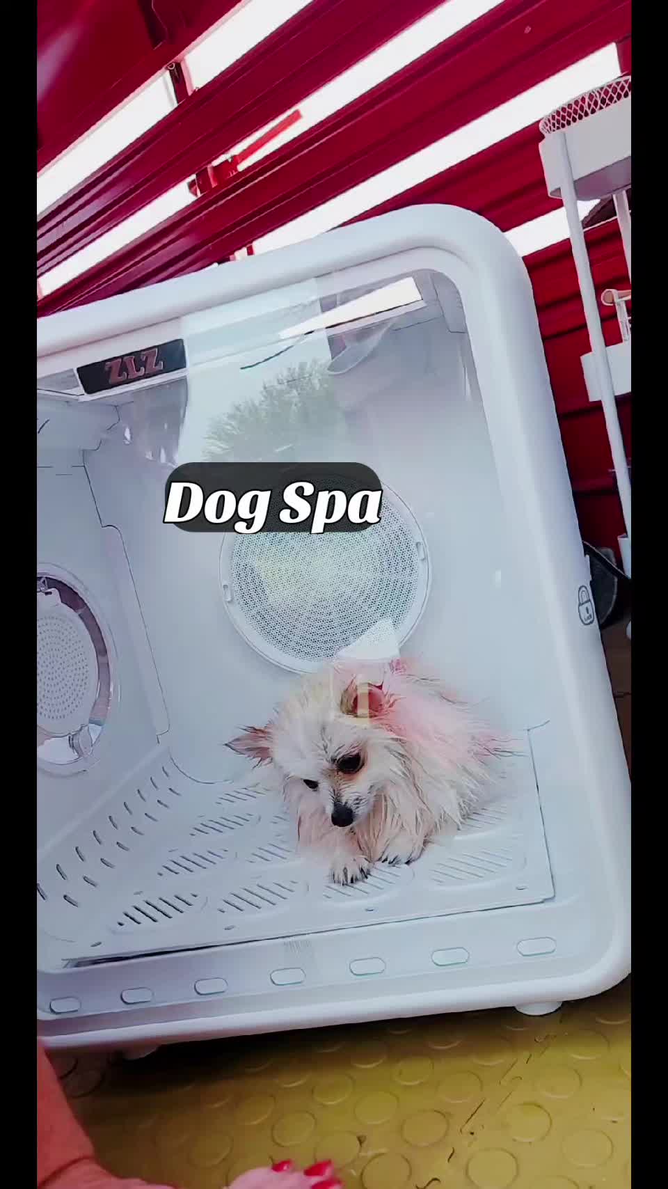 @Pompoochie