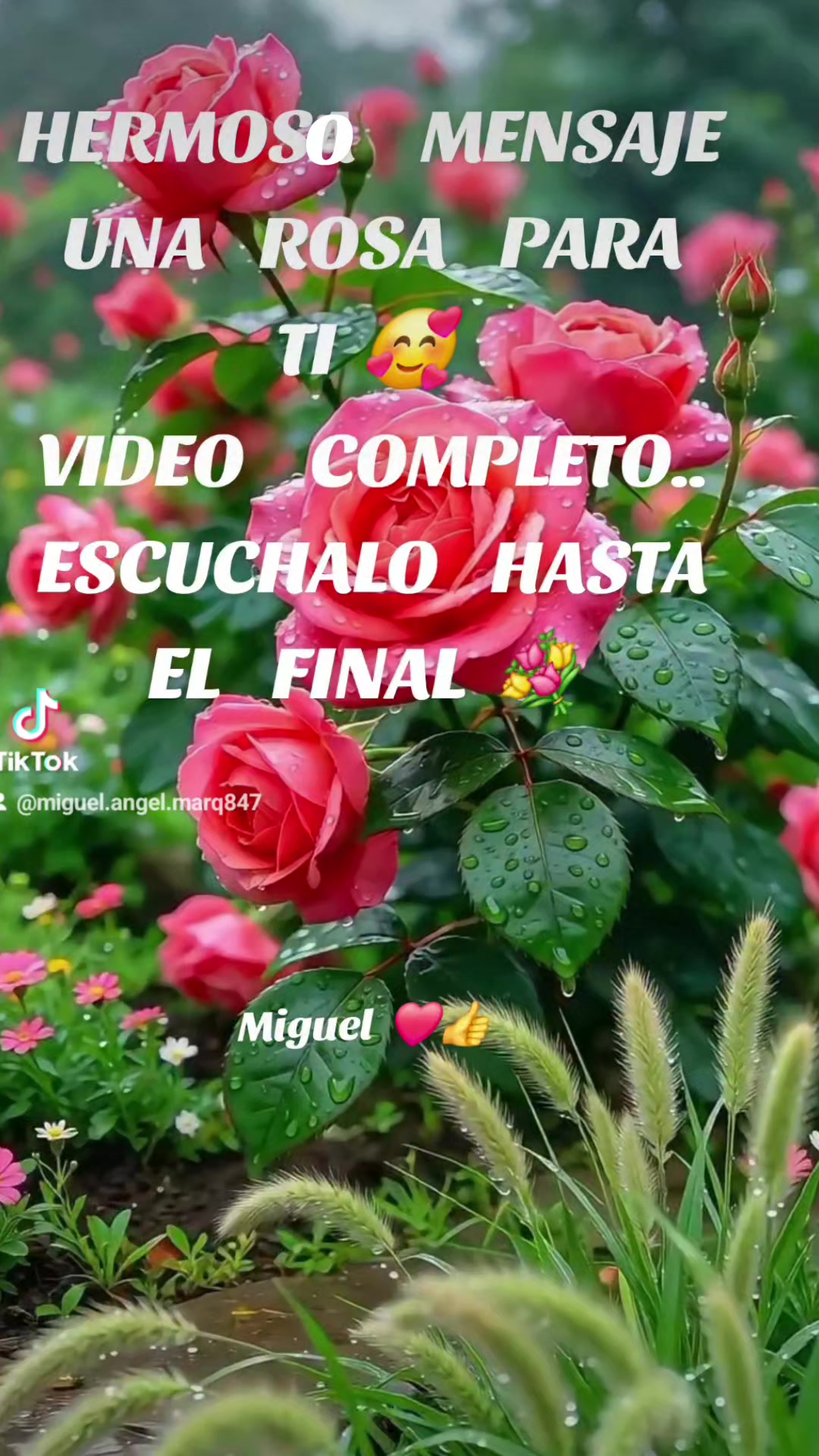 @Miguel Angel Marquez R.