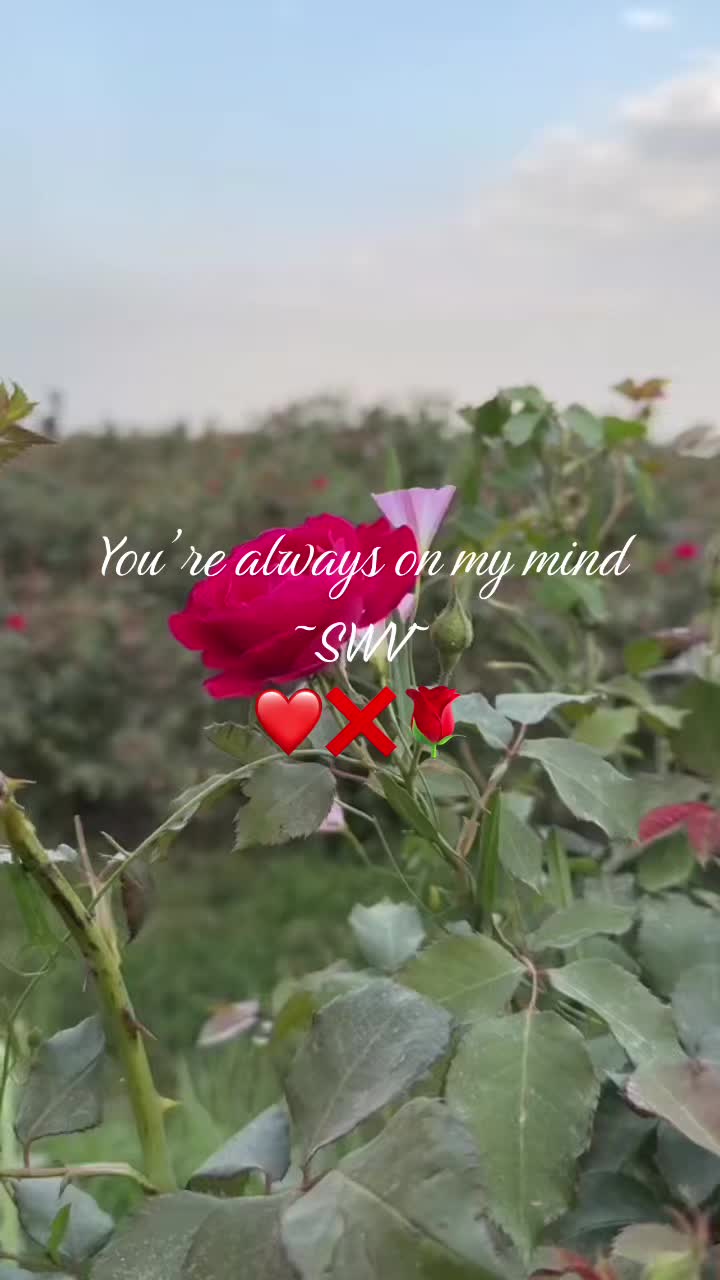 @Miss Tee
