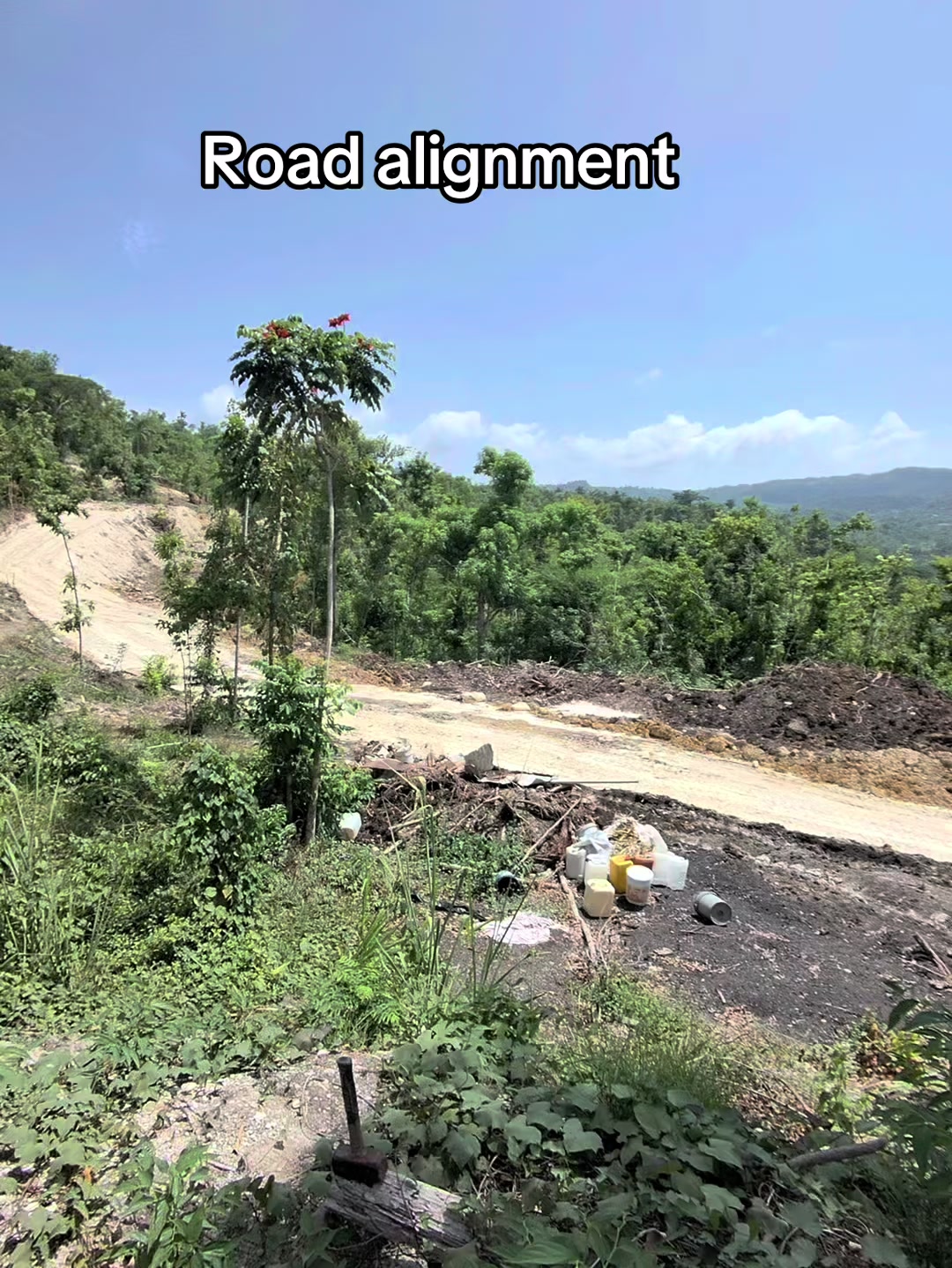 @jamaicasurveyors