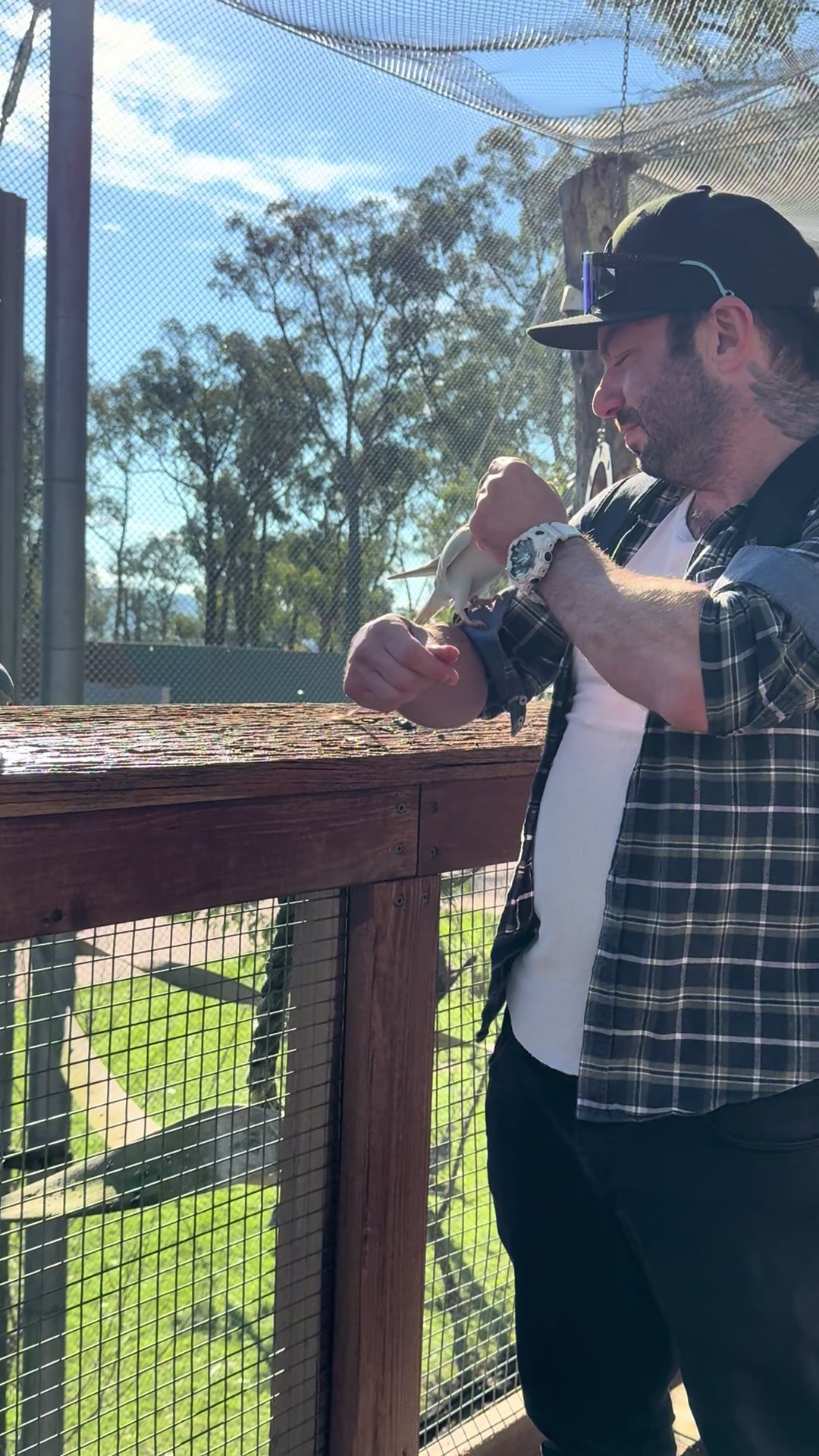 @Jungle ©️ 🇮🇹-🇹🇷-🇦🇺