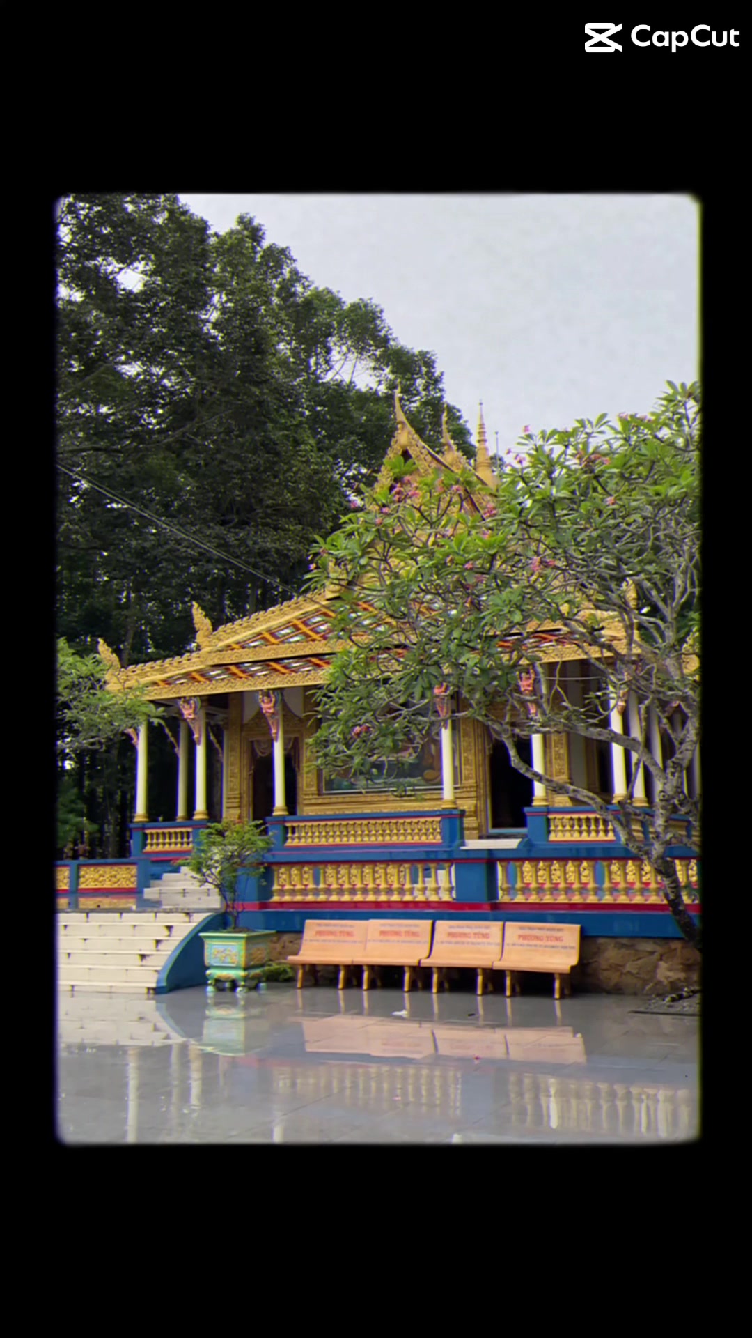 @Minh Thư xinh đẹp