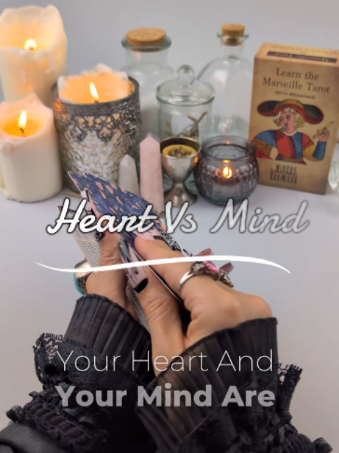 @Witchy Cauldron Tarot