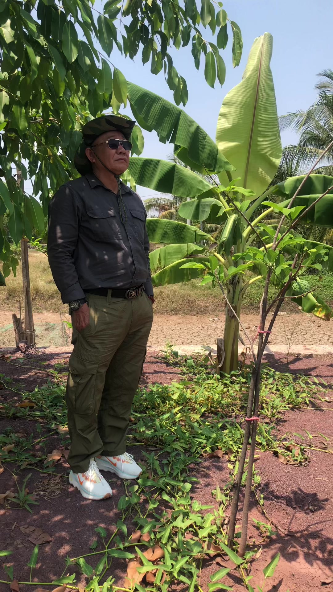 @ឥន្ទ្រីសលំហរវេហារ
