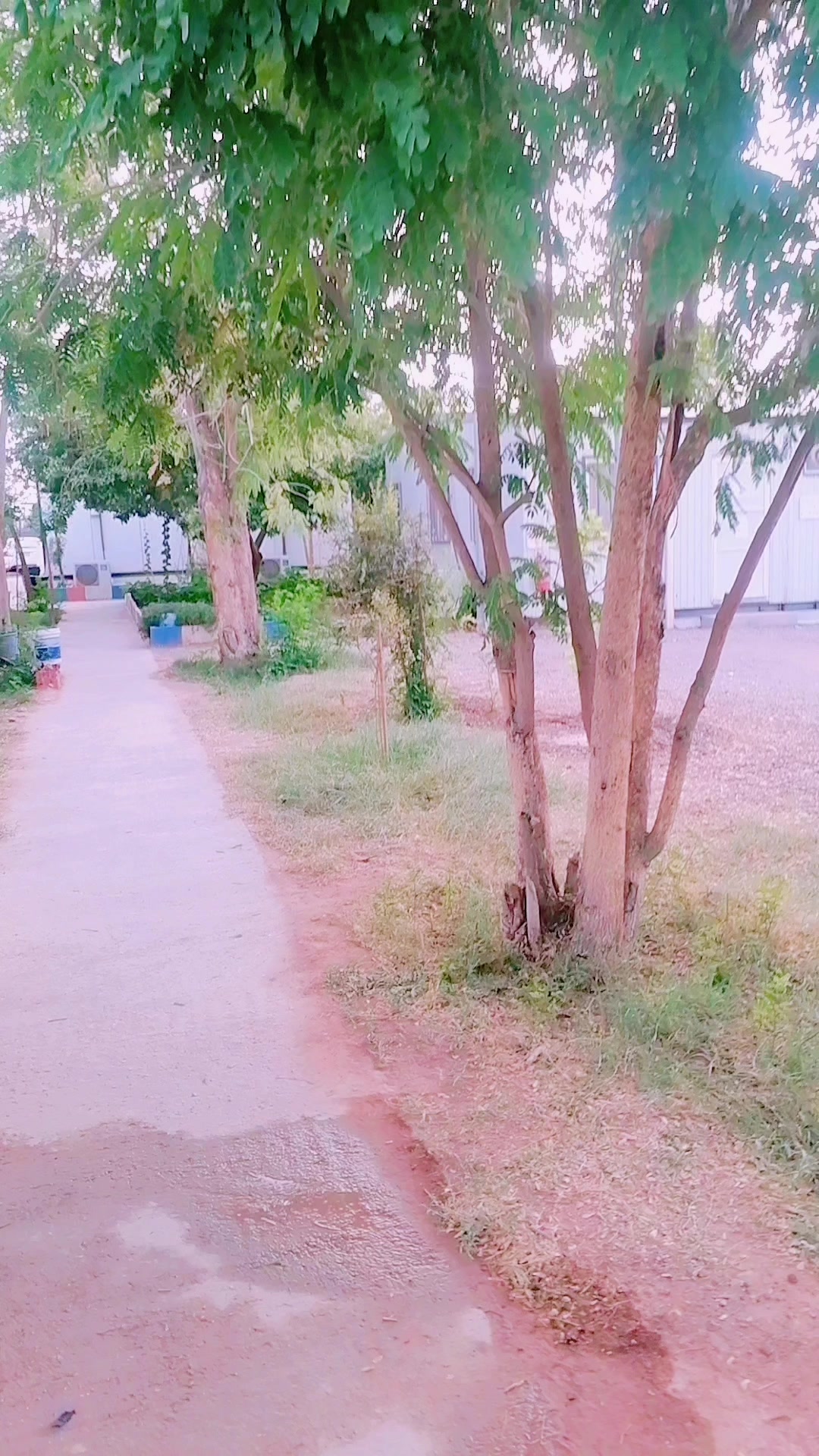 @Malik Faisal804🇵🇰