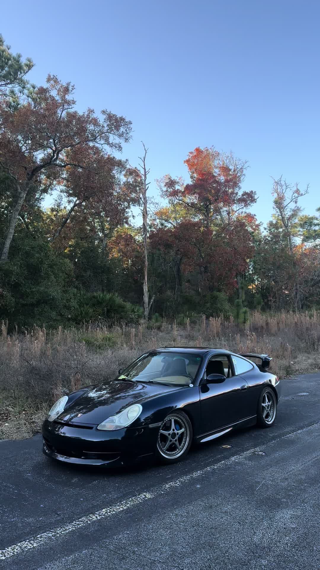 @Porsche Bias