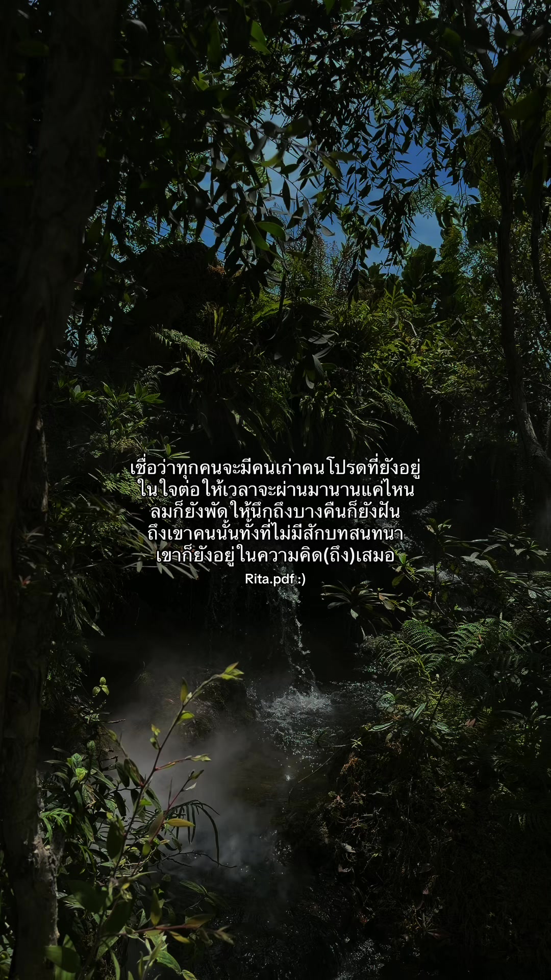 @⋆. 𐙚 ˚
