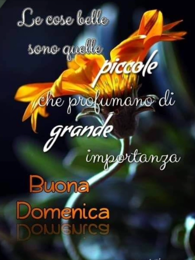 @RENATO c
