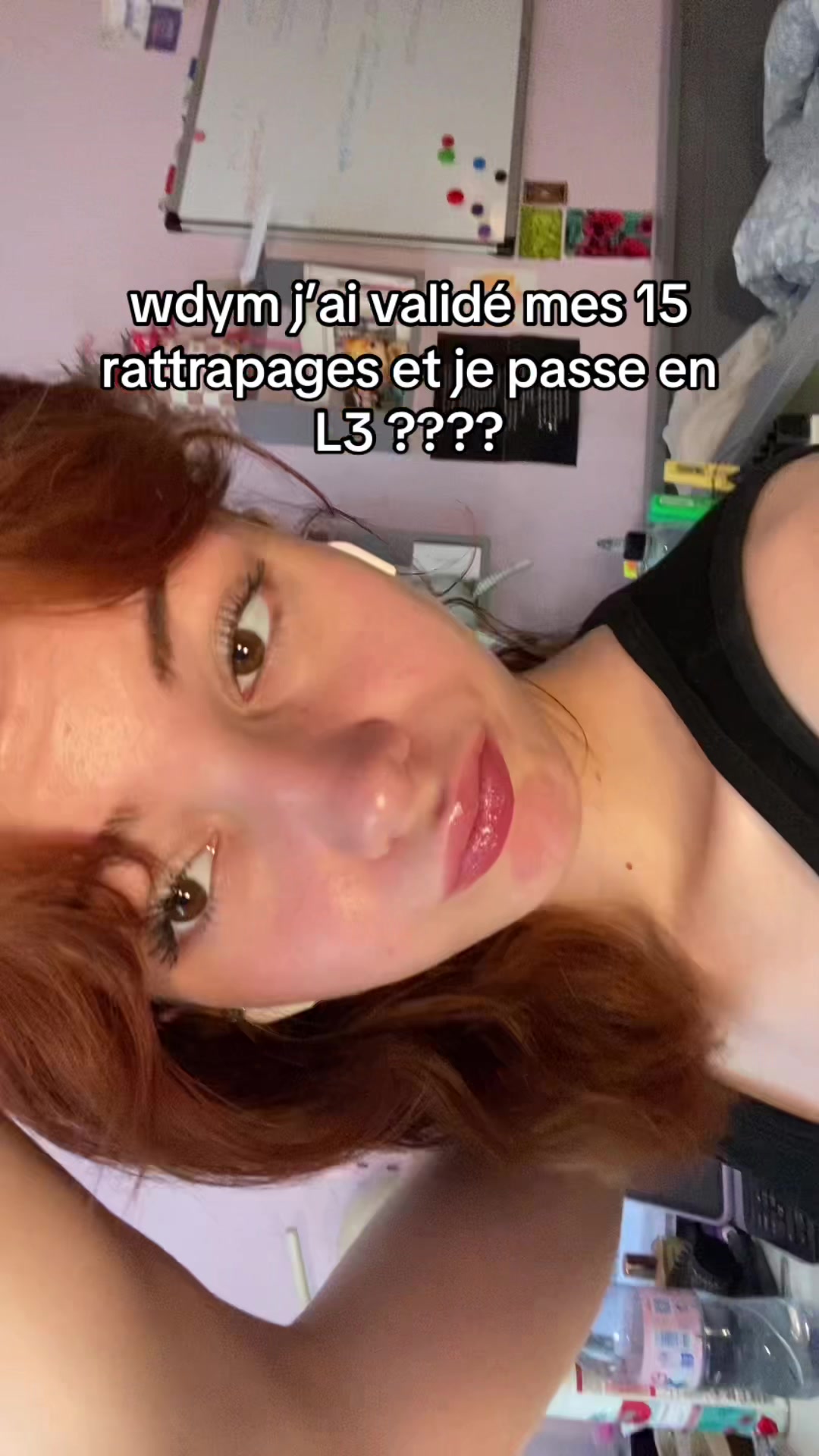 @camiloup🪸
