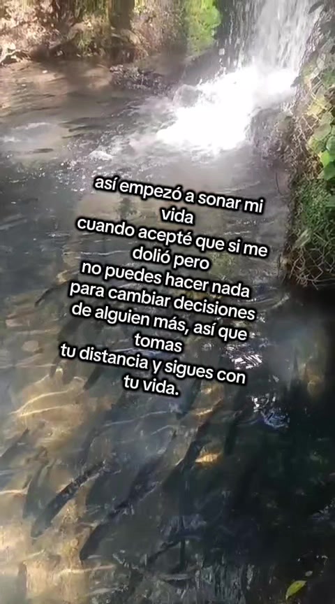 @maggye diaz