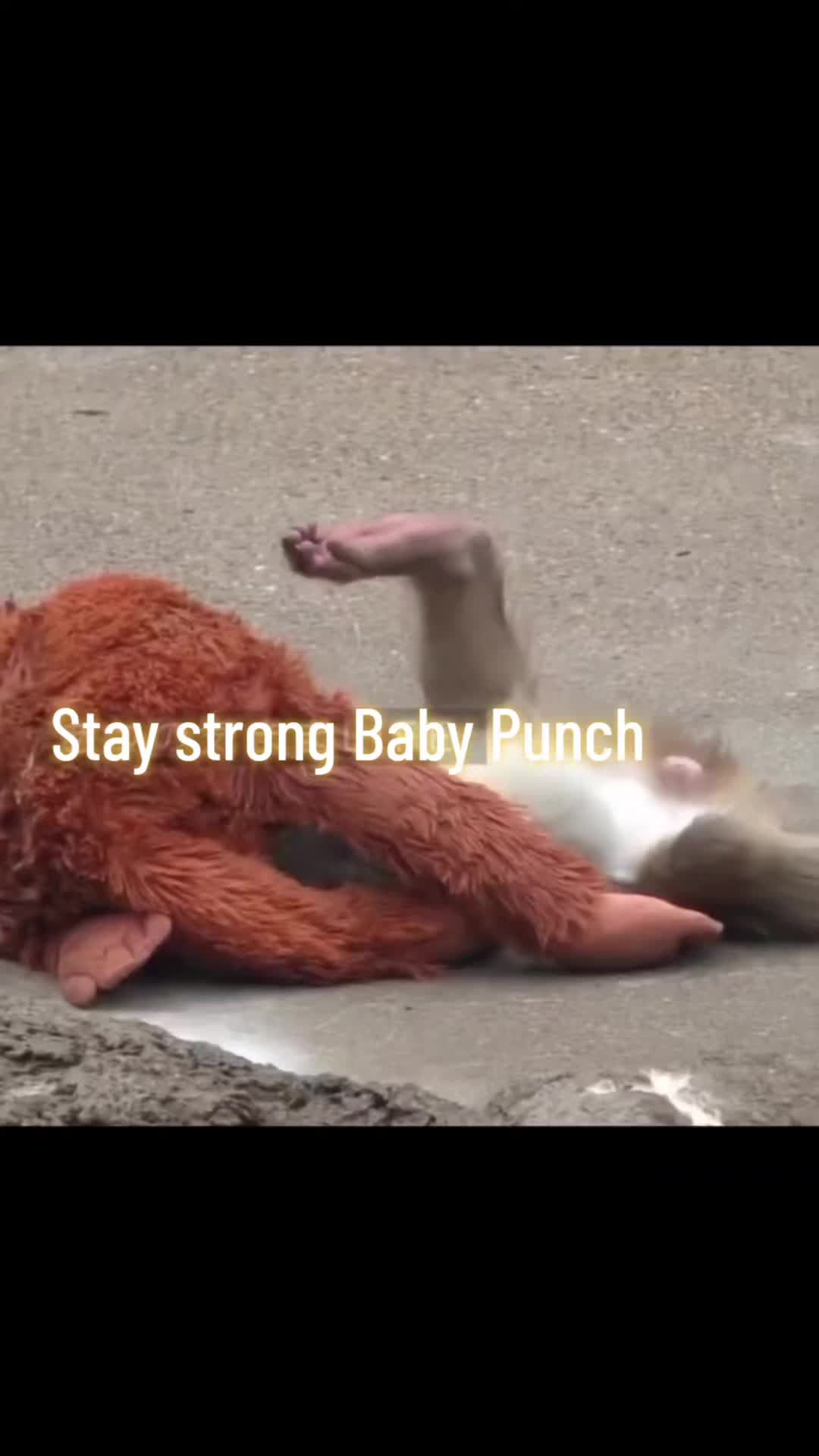 @zikstin16
