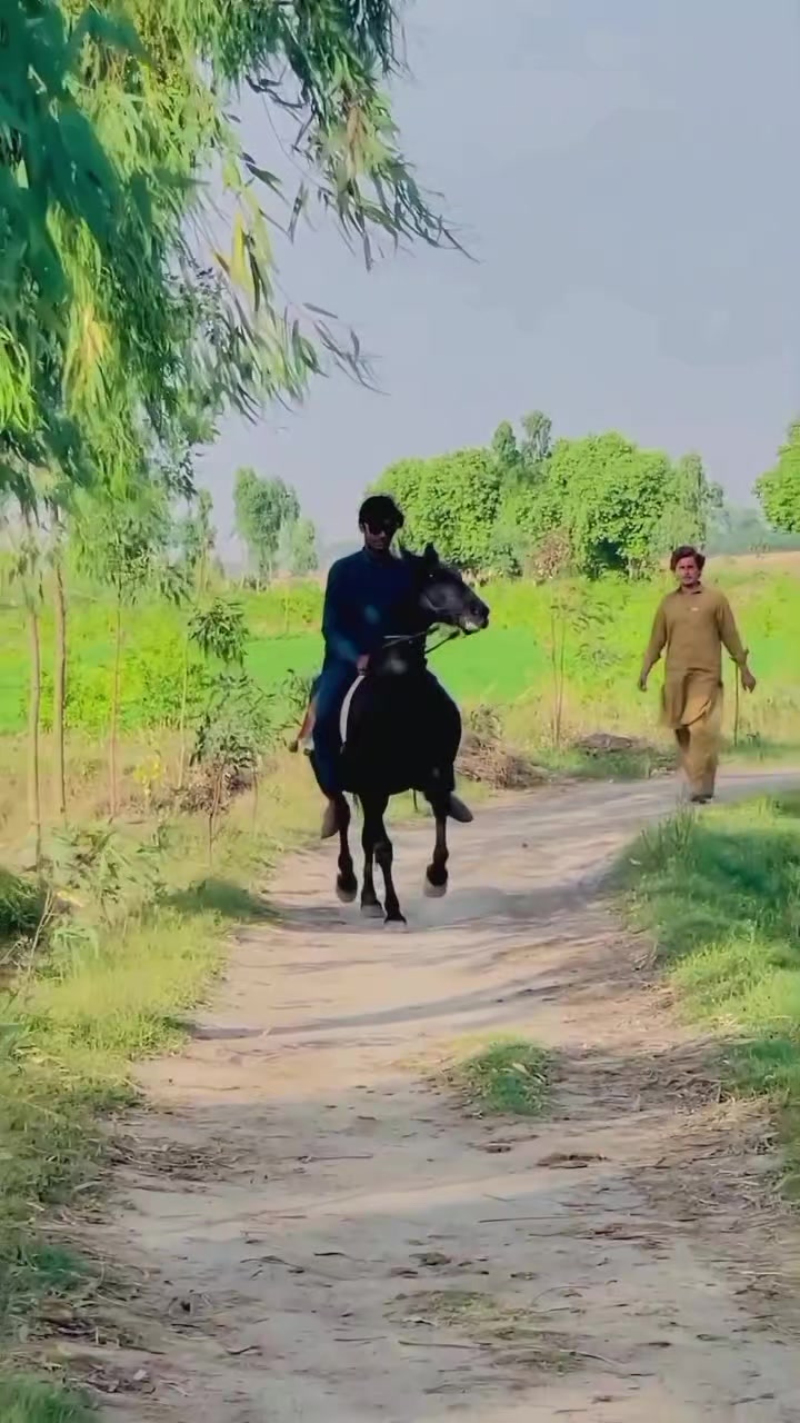 @کرم کھرل🦅
