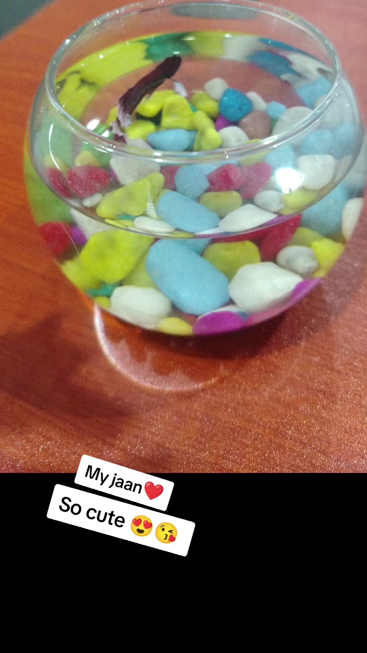 @🇦🇫kochai_jenai_🇦🇫