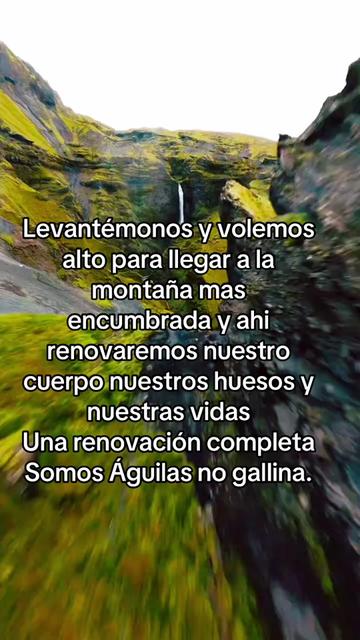 @Dee Enloe oficial