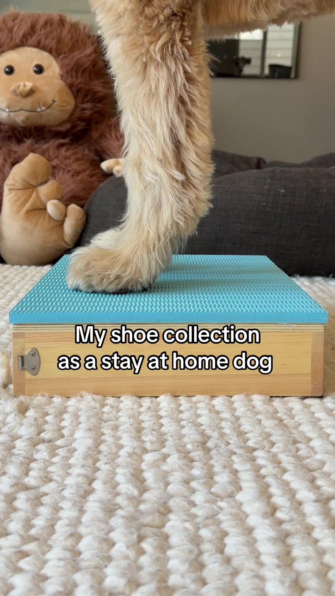 @Me, my Doods and I