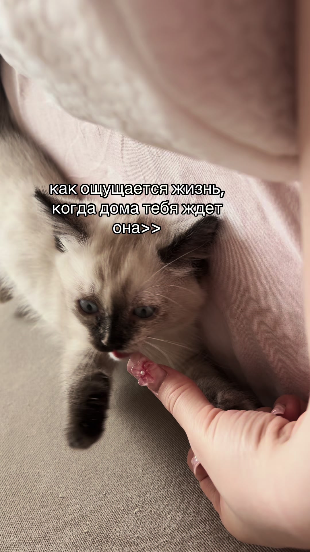 @королева Марта💋