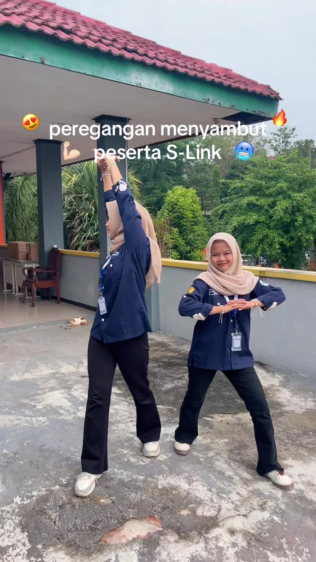 @himasosunej