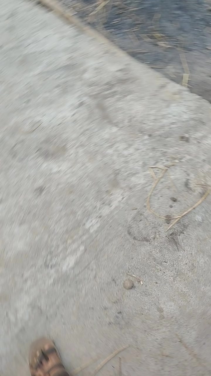@𝑴𝑹✓🅐🅡🅥🅘🅝➤⃝𝐃...🕊️🐦&zwj;🔥