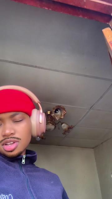 @Dezyre