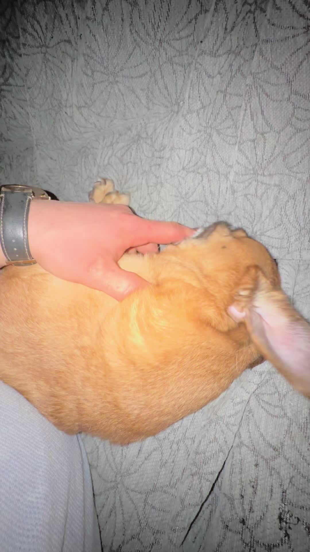 @.