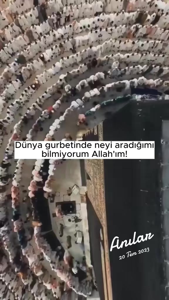 @Gulee