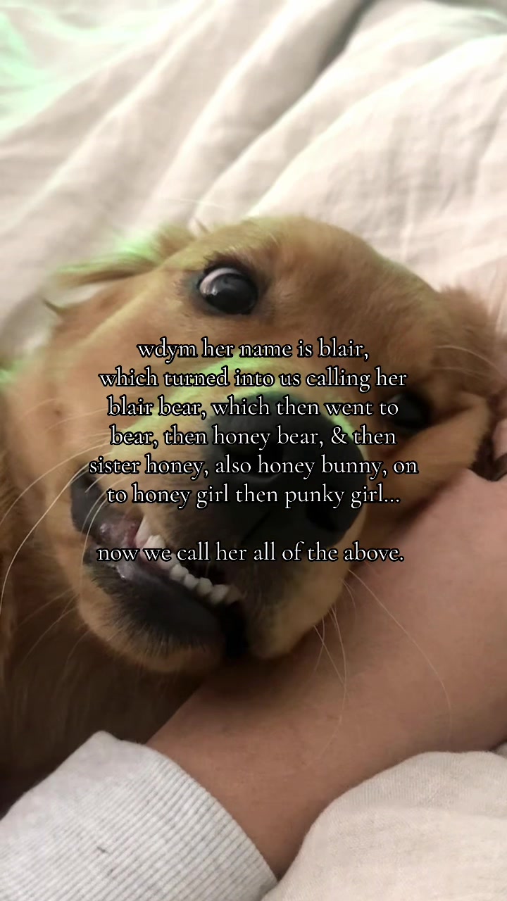 @Amber